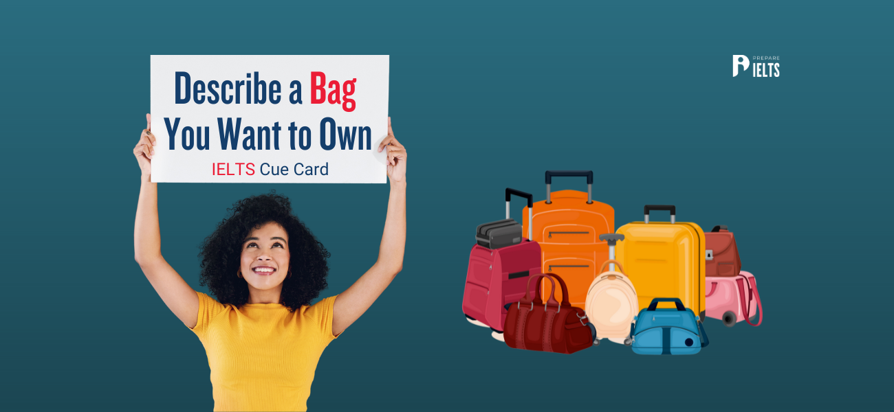 Describe a Bag You Want to Own