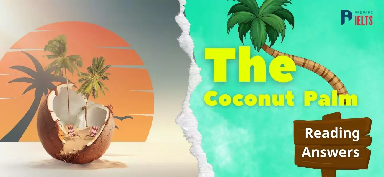 the-coconut-palm-reading-answers.webp
